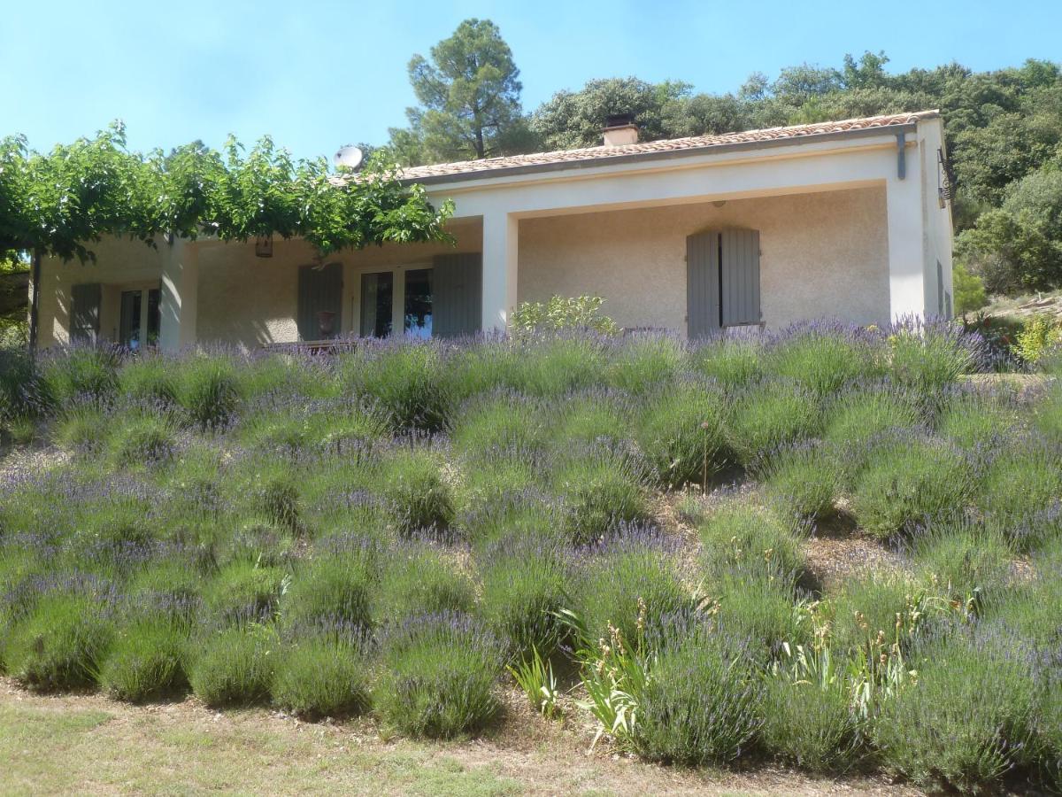 Une Ronce Sous Le Figuier Rousset-les-Vignes Luaran gambar