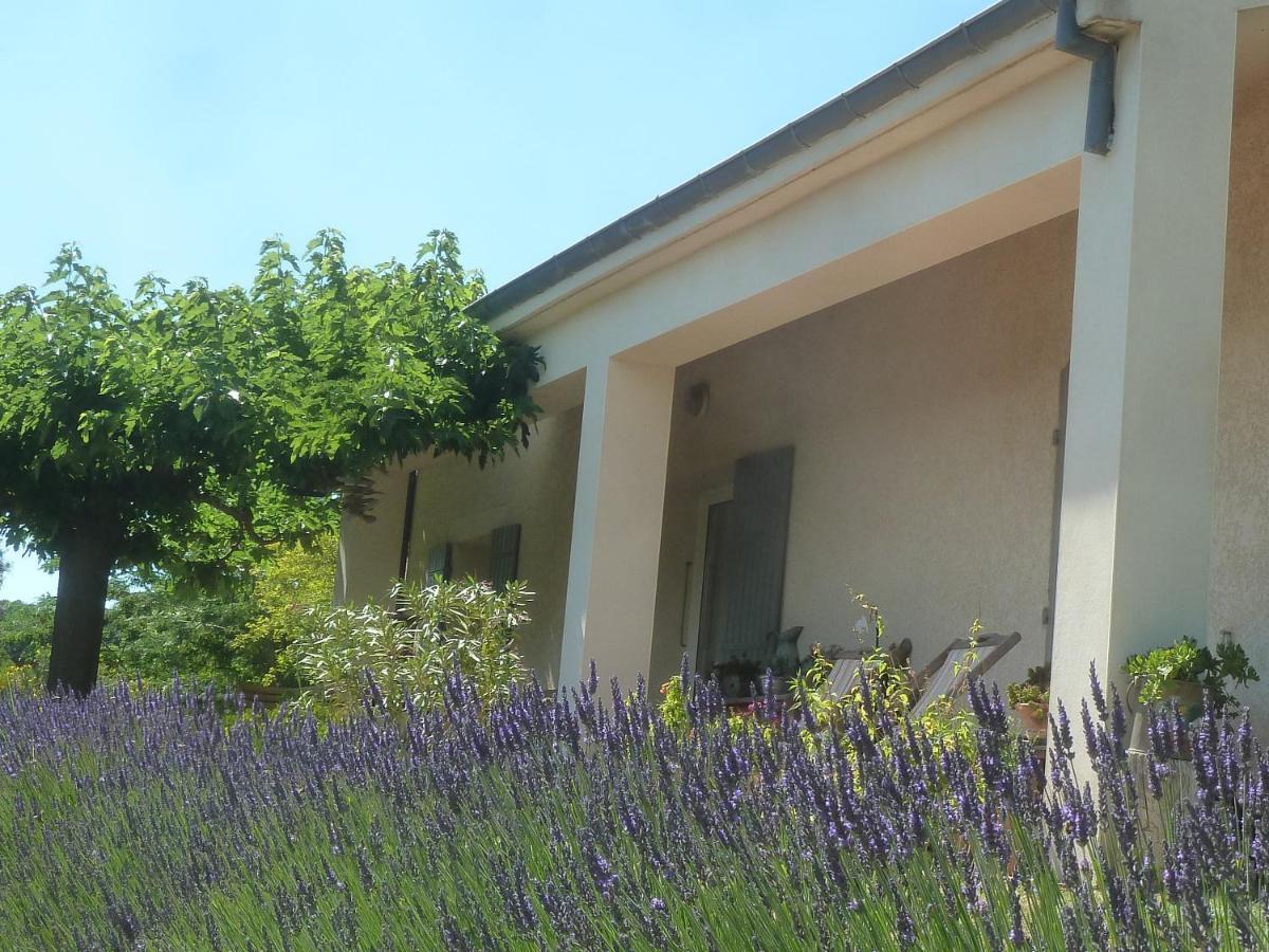 Une Ronce Sous Le Figuier Rousset-les-Vignes Luaran gambar