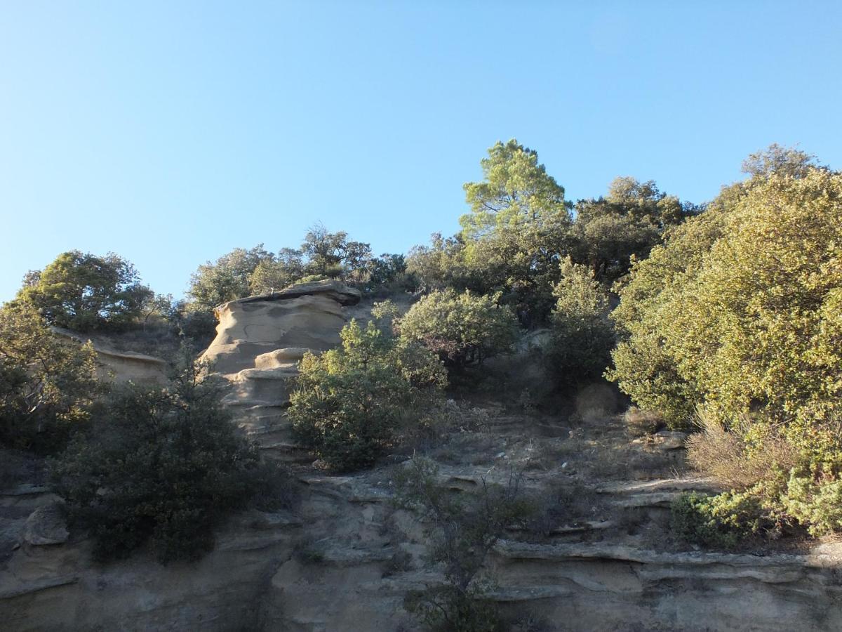 Une Ronce Sous Le Figuier Rousset-les-Vignes Luaran gambar